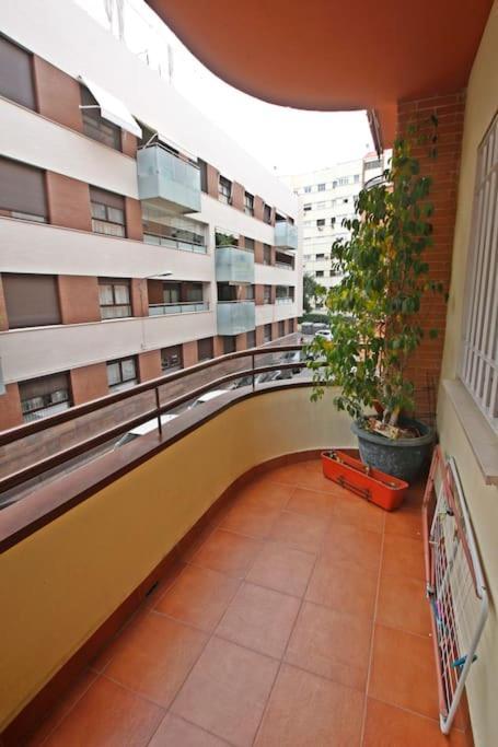 Sevilla Clasica: Amigos Y Familia. Parking Gratis! מראה חיצוני תמונה